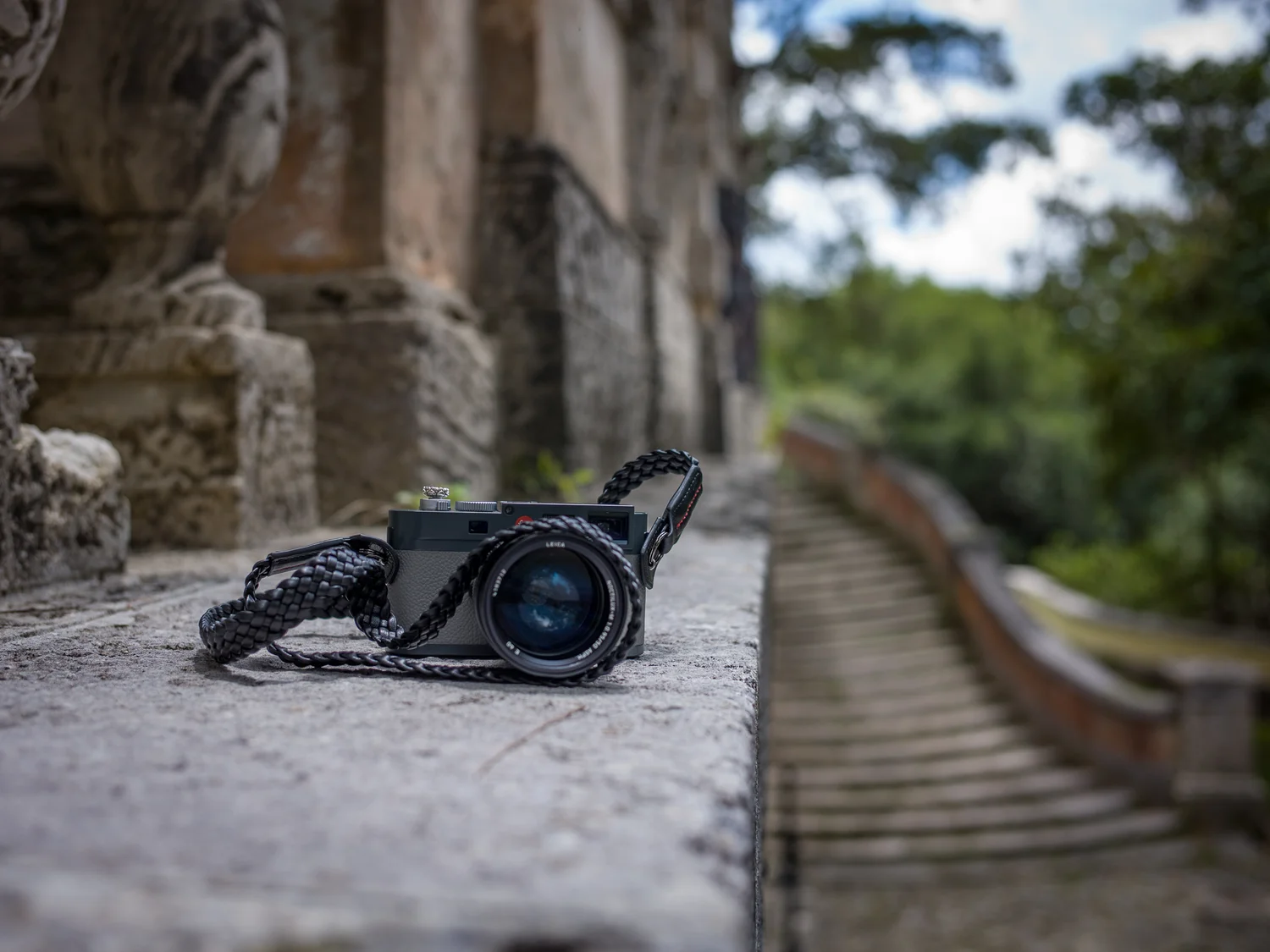 Vi Vante Tiger Vizcaya Leica ME 5.jpg